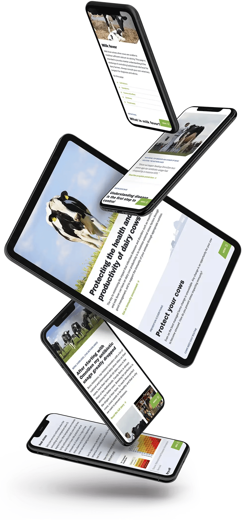 Website design Phibro