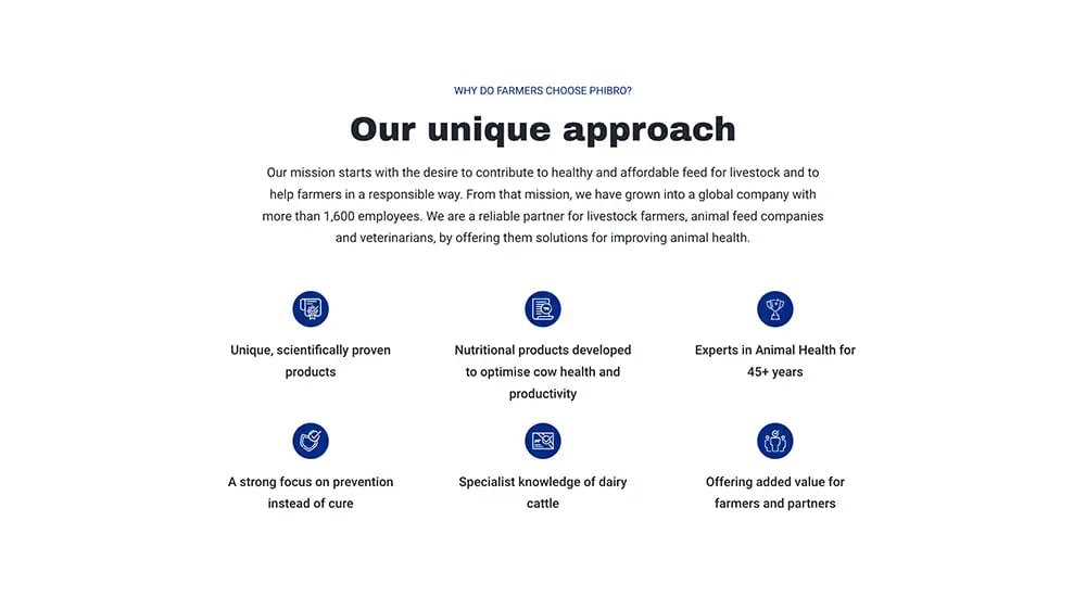 Website preview