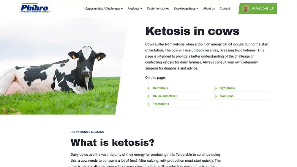 Website preview