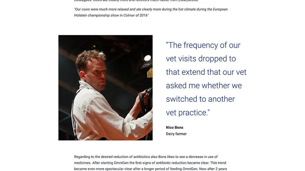 Website preview