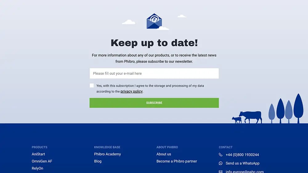 Website preview