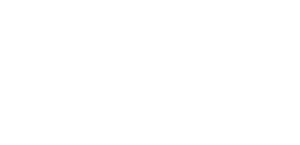 Welson-logo-wit