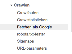 Je pagina meteen zichtbaar in Google