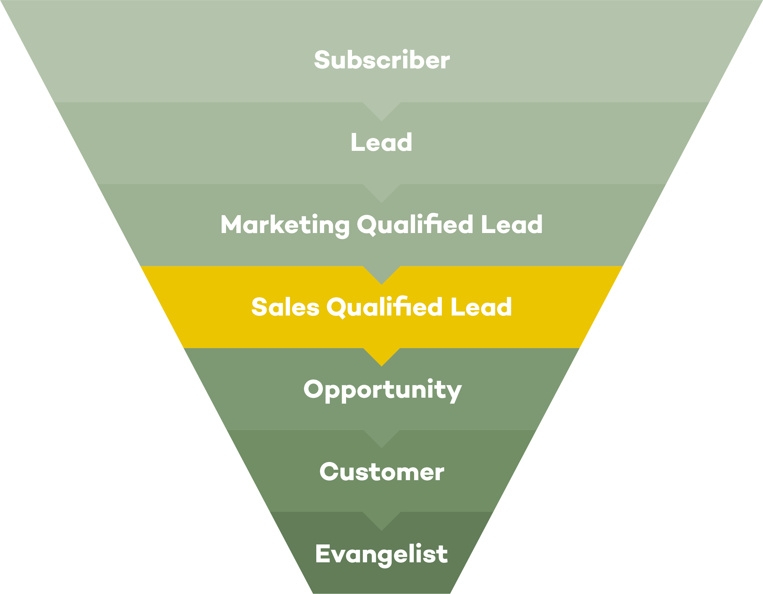 Sales Qualified Lead (SQL)