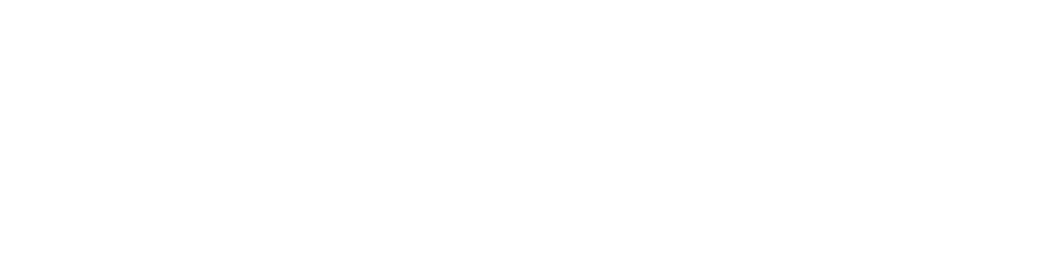 Degalux_Logo_Wit_RGB