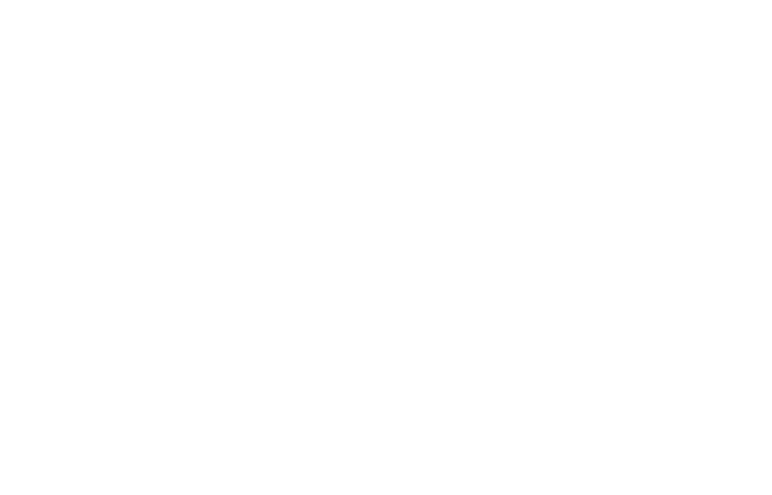 Bright-Logo-wit