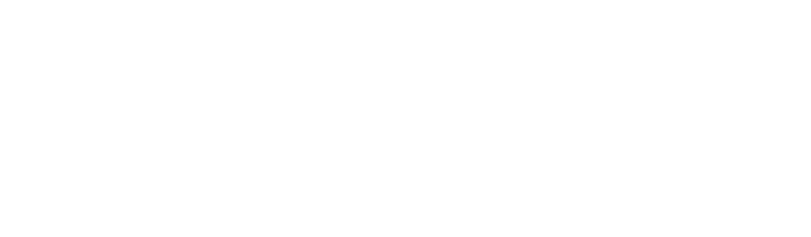 Magento-logo copy