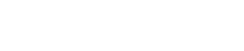exact-logo copy